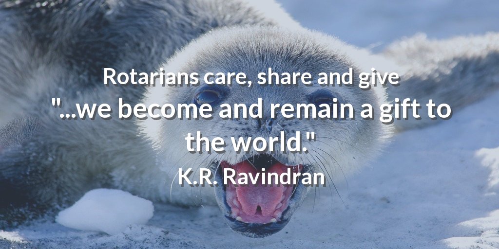 Rotary Club Antímano Petare tweet media