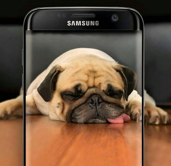 SamsungMda tweet picture