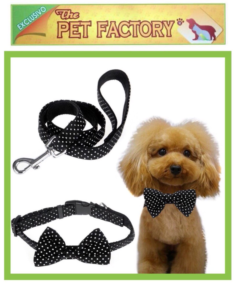 ThePetFactory's tweet photo. Este producto lo encuentra a la venta en MegaKywi (Quito & Guayaquil) sección mascotas marca #PetFactory https://t.co/DCQyKgFISR