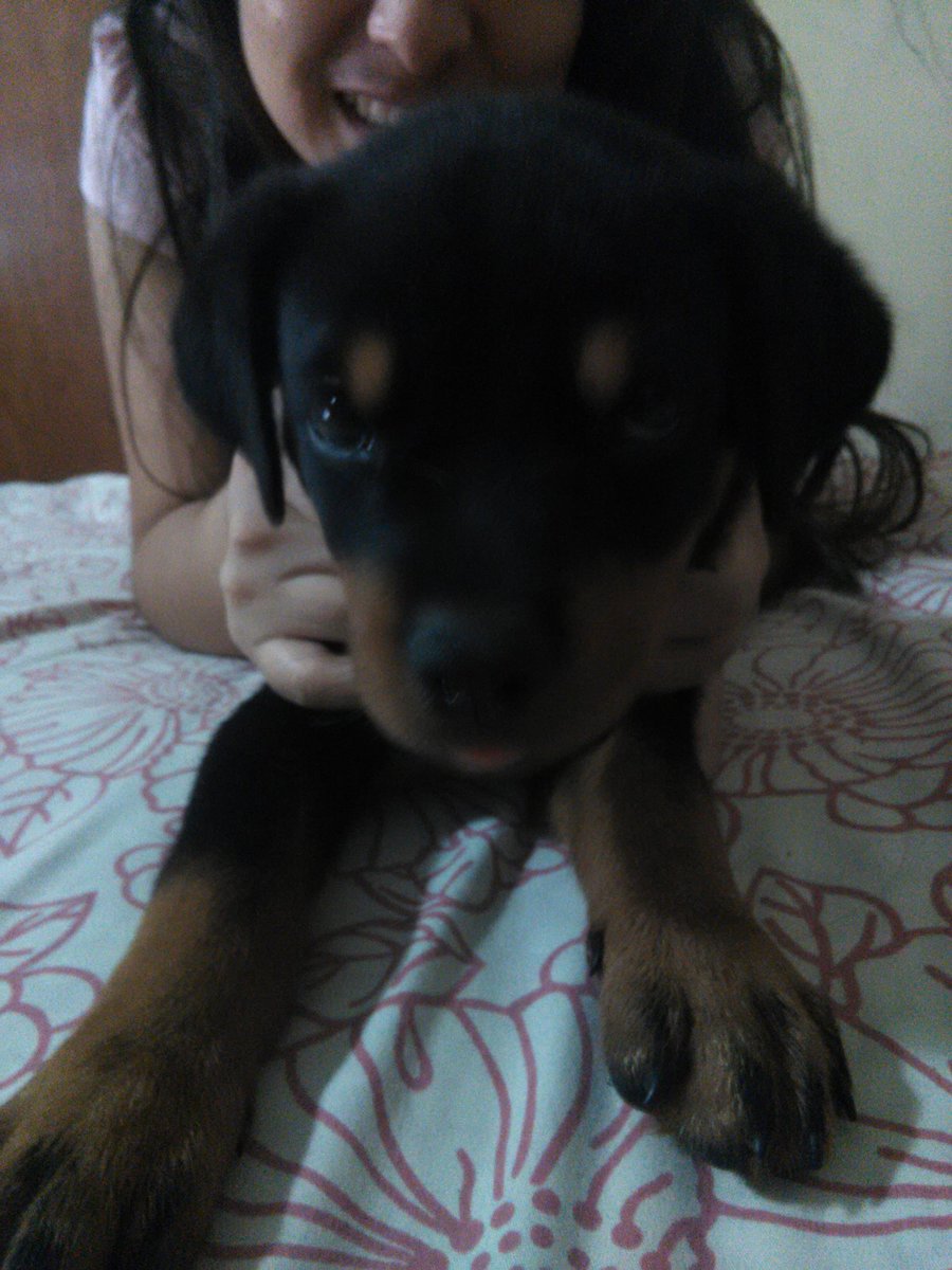camilon380 tweet picture