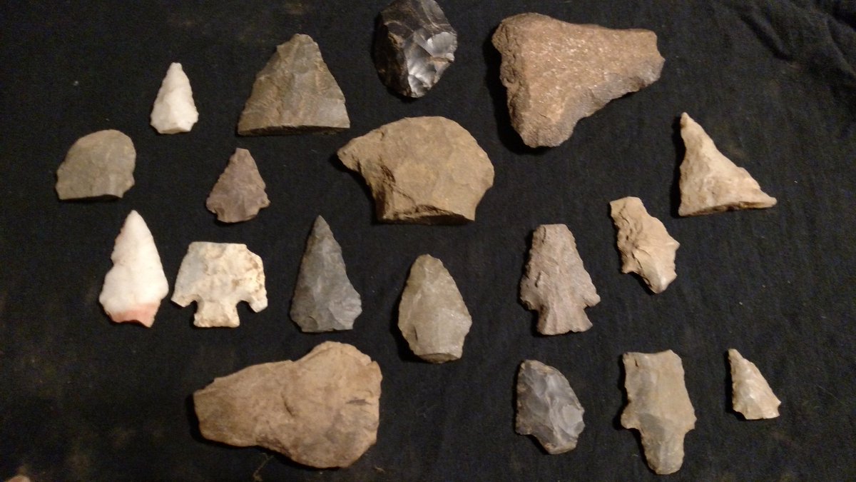 Eric Wooten (@solocam_hunter) on Twitter photo 