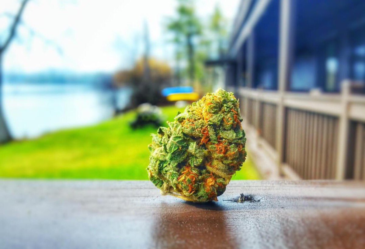 OpuffO2's tweet photo. Want to hang? #Opuff #Cannabis https://t.co/6f6wb9KMJ9