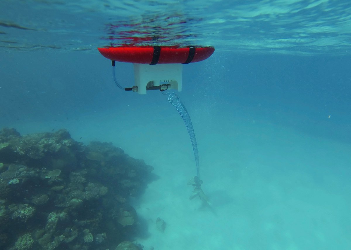 DivingEasier's tweet photo. Meet https://t.co/cCmaaiViVr | Tankless, grab-and-go dive gear. Explore 🐟 #airbuddy #scuba #snorkeling #diving https://t.co/YnvBwcIck4