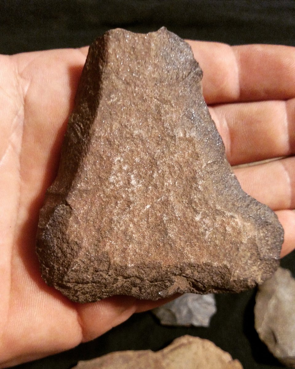 Eric Wooten (@solocam_hunter) on Twitter photo 