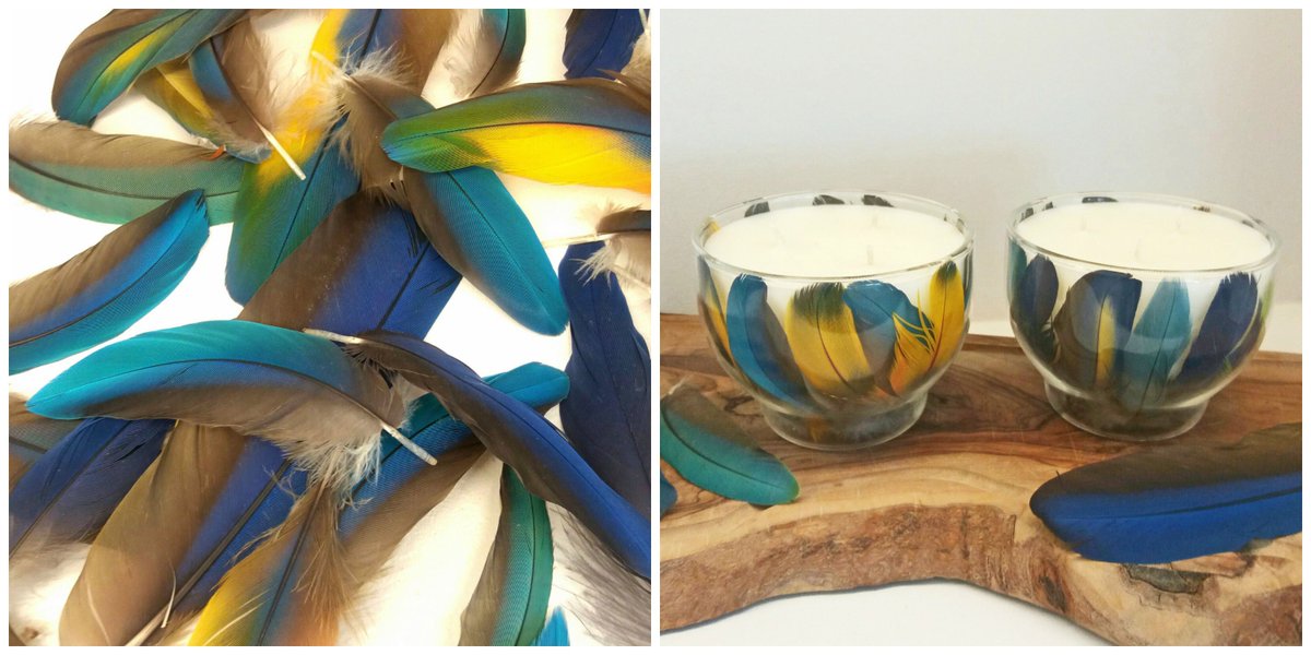 WingfieldDigby's tweet photo. Read about our beautiful exclusive bespoke candles on our blog >>> https://t.co/izAJOwiFmF #wingfielddigby #candles https://t.co/dyI83X36rQ