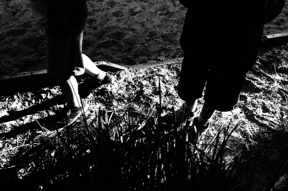 aspiritofplace's tweet photo. Getting ready for next term's #mobilephotography #photoclub @monteastbondi #montessori #bondi https://t.co/J3wrbbPdka