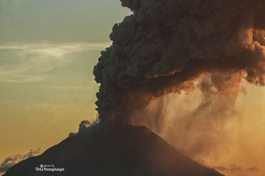 Leopold Kennedy Adam tweet media