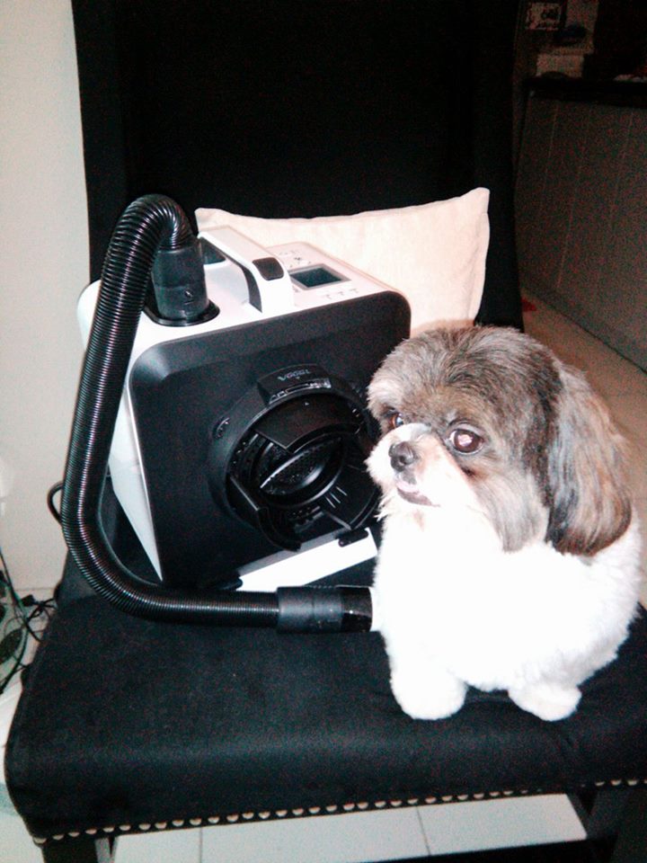 VuumPh's tweet photo. Thank you Buyer for purchasing Vuum Pet Care Dryer Set .. Surely your FurBabies LOVE it! ^_^
#vuumph
#PetCareDryer https://t.co/ZZNlwNL7WA