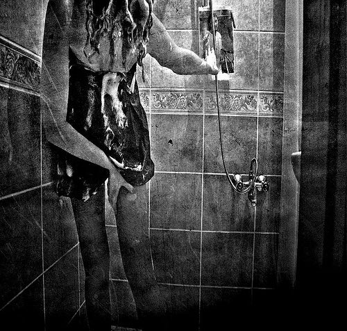 RedMapleExLT's tweet photo. StreetQueen´s – umayumay photostream | Uno de los Nuestros @enkil_ 🌚 https://t.co/51cIo8sCLu´s-umayumay-photostream/ https://t.co/yaY1LC06WV