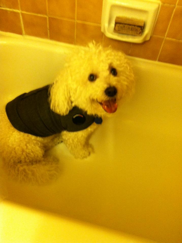 baxtertede's tweet photo. Im still haveing issues with all the fireboomers here i am in my thunder jacket... https://t.co/zn5b0Gc2Q8