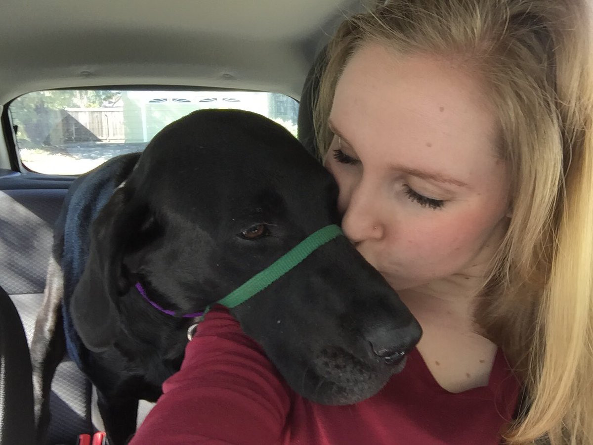 dayrink's tweet photo. The only kiss that matters 🐾#NationalKissingDay https://t.co/8mDZkqRoNp