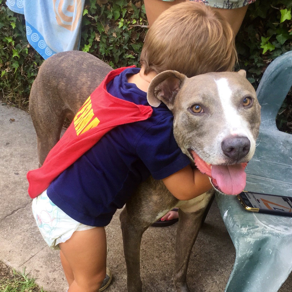 So sweet!! <a href="/Pitbullsofinsta/">Pitbullsofinstagram</a> <a href="/PEOPLEPets/">People Pets</a>