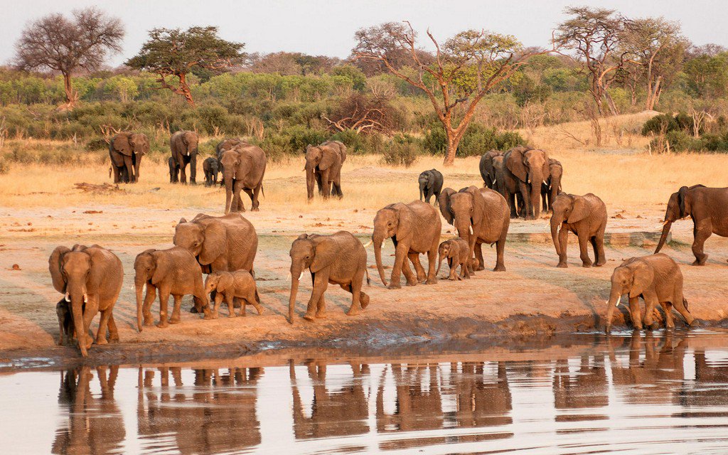 The World’s Best Safari Outfitters tandl.me/29puaYi