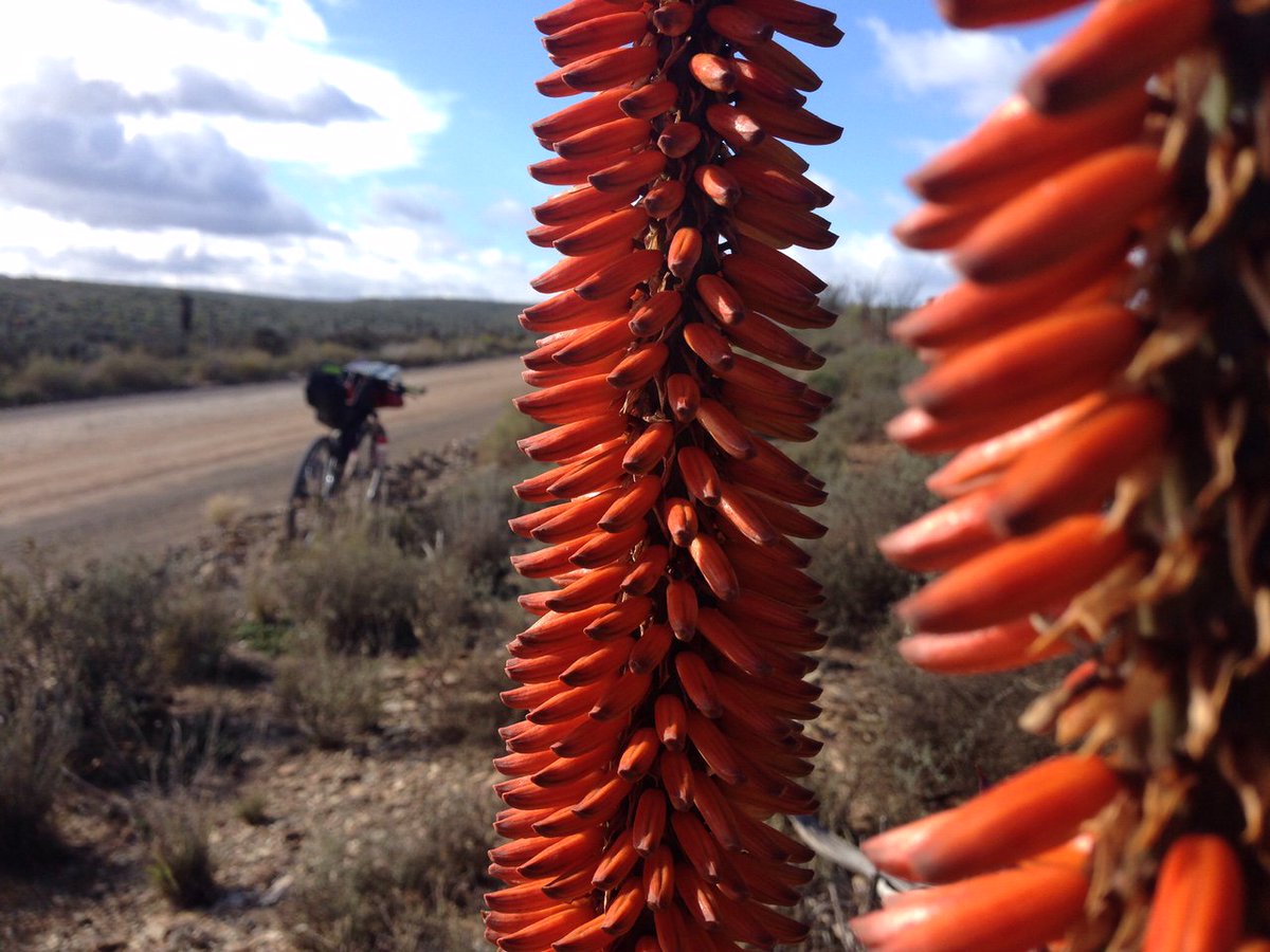 Namibia2Knysna tweet media