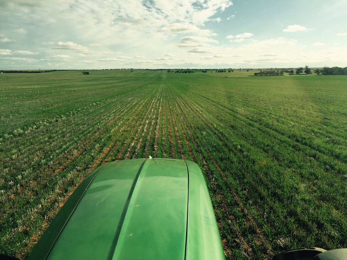 mrlange81's tweet photo. Beautiful day in the Mallee! #macewheat #broadleafcontrol #uppersoutheast https://t.co/0Bcj2g0im0