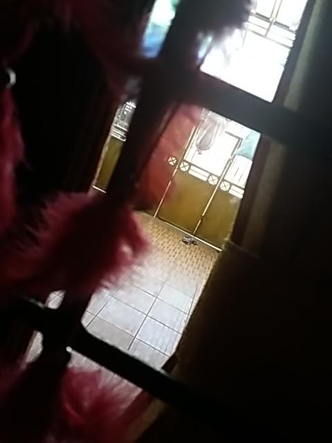 bunga_ds tweet picture