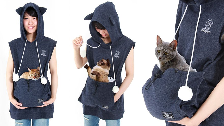 Cat Hoodie With Kangaroo Pouch Lets You Take Your Cat Wherever You Go (Summer Edition) boredpanda.com/cat-hoodie-pou…