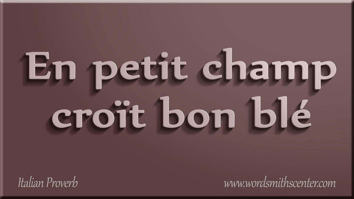 FrenchProverbs_'s tweet photo. En petit champ croït bon blé #FrenchProverbs #French #Sayings #Proverbes  https://t.co/V6X8v8vdYM https://t.co/Me5xiWdznv