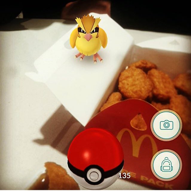 PeteyPlastic's tweet photo. Better run before you end up like the rest of your family... #pokemongo https://t.co/iGMDGFIBRw