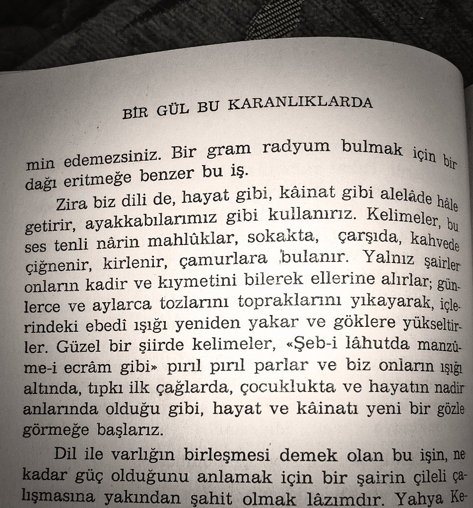 Kamil Öz tweet media
