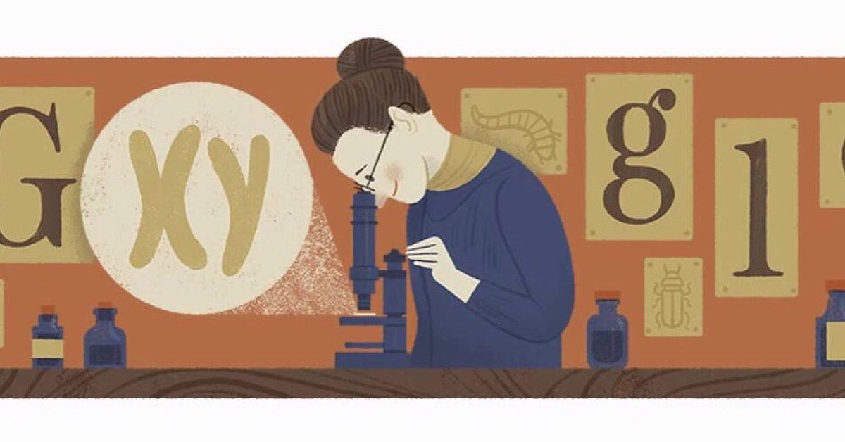 Evolvher tweet media