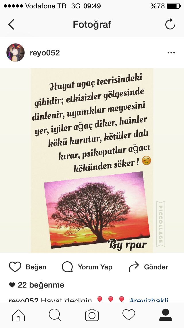 Hayat ağaç teorisindeki gibidir;