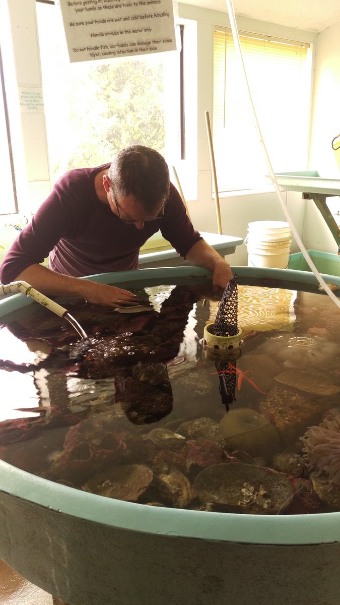 mjfoberg's tweet image. Dr Garrard getting up close and personal with resident polyps. #inpursuitofthewhale #bamfieldmsc #uvicenglish