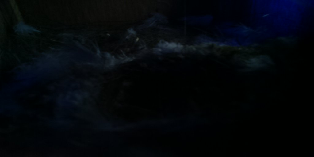 BirdsEyeView_'s tweet photo. here is the bird box20160707-064737 https://t.co/4im0QiqMTG