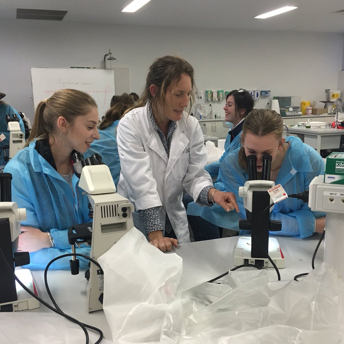 StudyCSU's tweet image. \Today at MyDay in Wagga, high school students got to experience life as an agricultural scientist #CSUlife