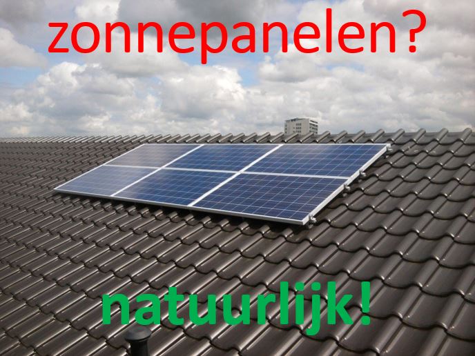 Nu weten we het wel: zonnepanelen zijn goed voor je portemonnee én het milieu. Wanneer ga jij ze laten plaatsen?
