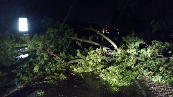 View image on Twitter