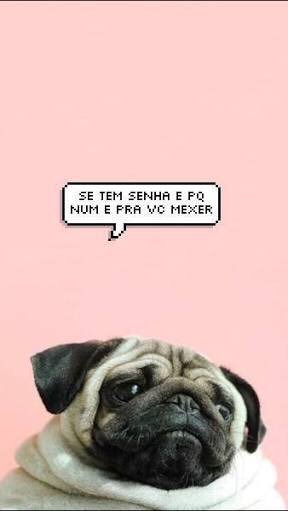 screen1_locks's tweet image. 