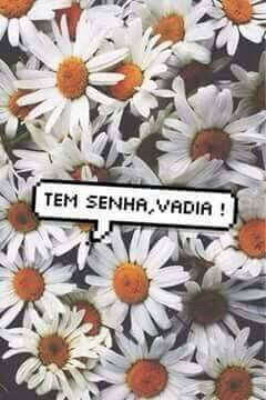 screen1_locks's tweet image. 