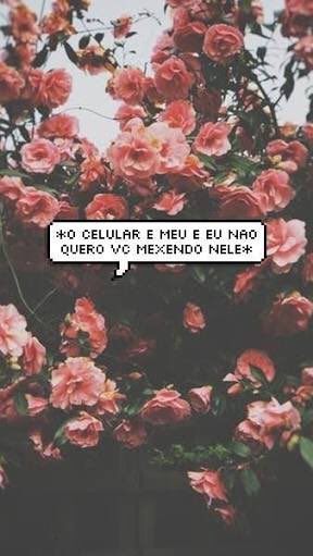 screen1_locks's tweet image. 