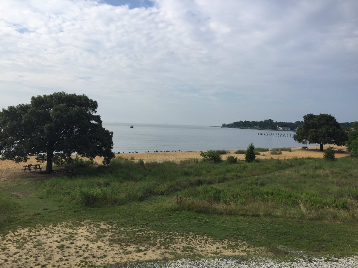 CCPS Accountability tweet media