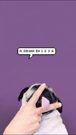 screen1_locks's tweet image. 