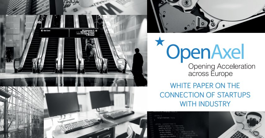 innomine tweet media