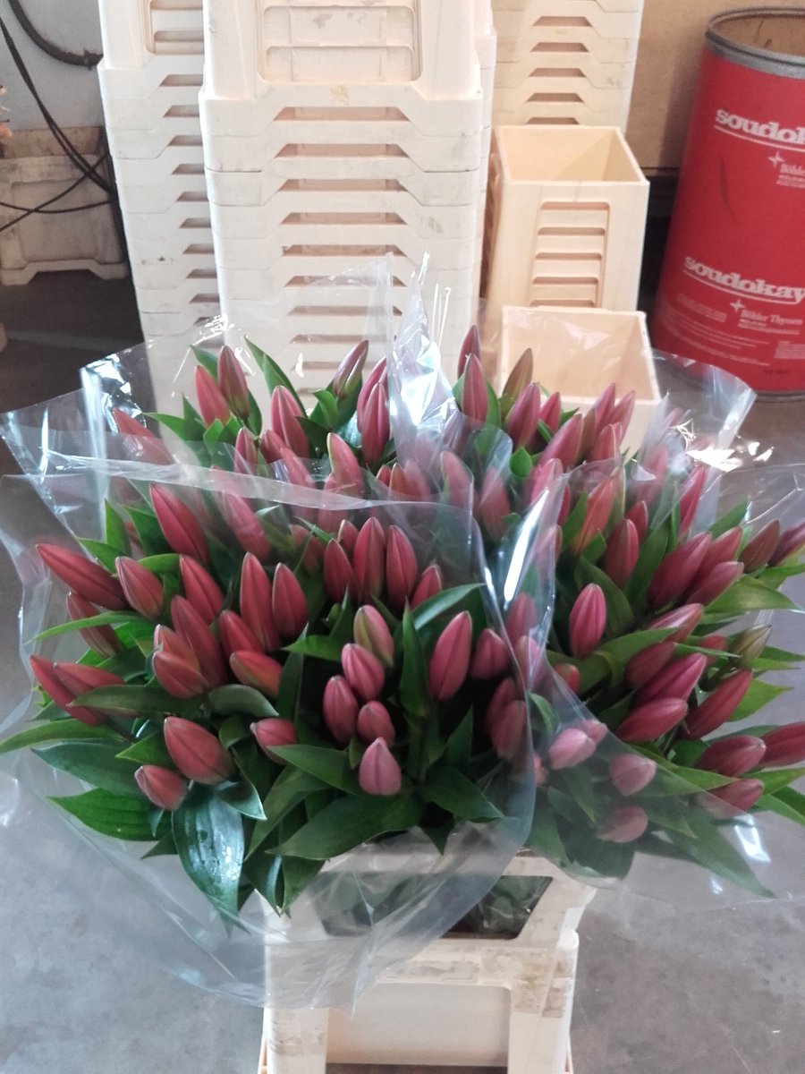 DirkKoper's tweet image. Dalian van buiten morgen op de klok van cooperflowers