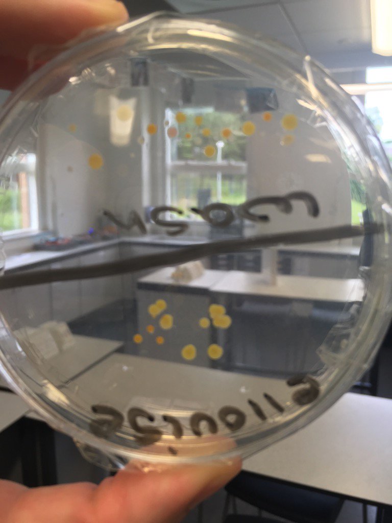 DRo_SEMH's tweet photo. Combining science with hygiene awareness #washthathand https://t.co/z1cRbyXFte