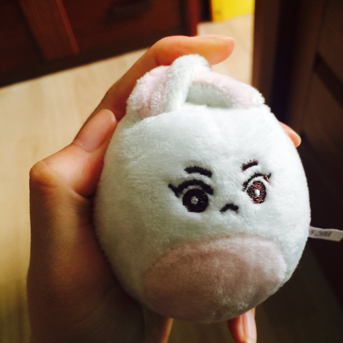 토백 커피콩 tweet media