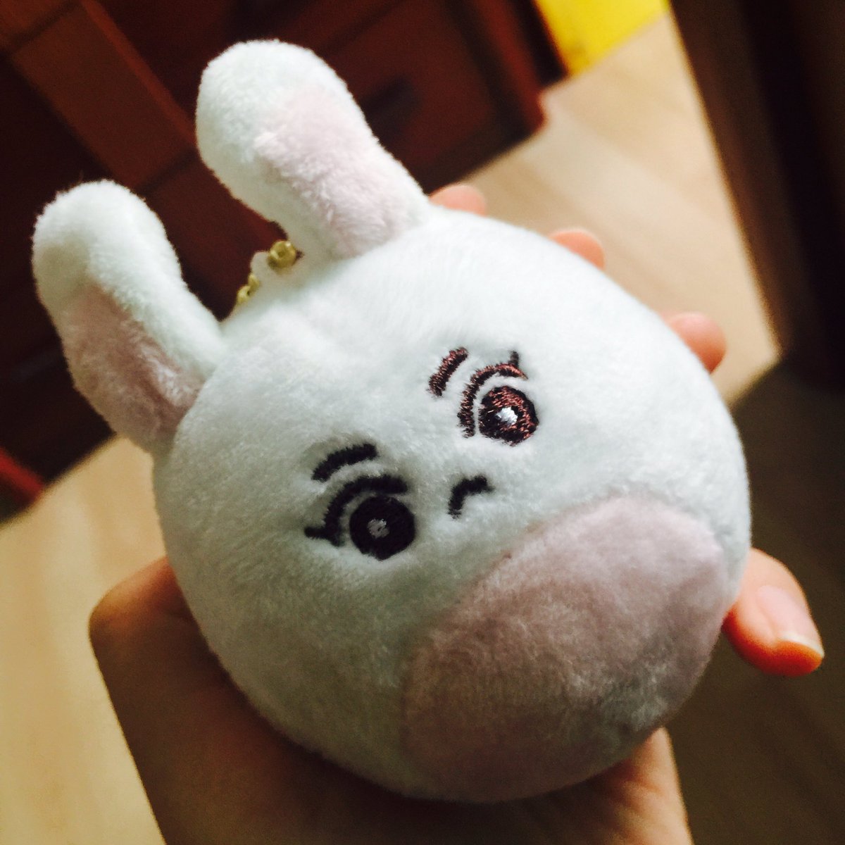토백 커피콩 tweet media