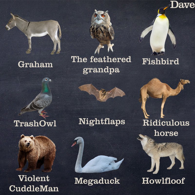 список животных. животные с именами. научные названия животных. имена для животных. животные названия.