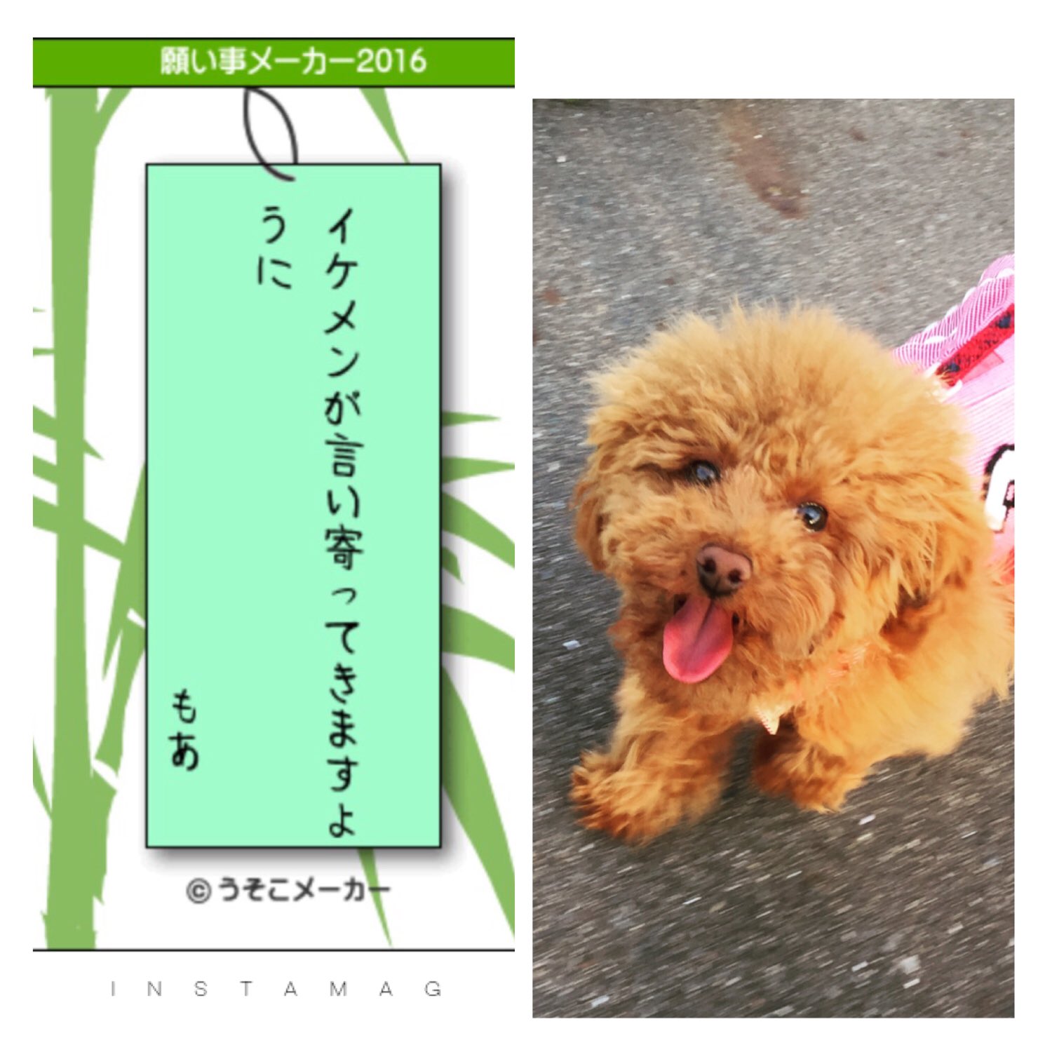 うそこメーカー七夕 Twitter Search Twitter