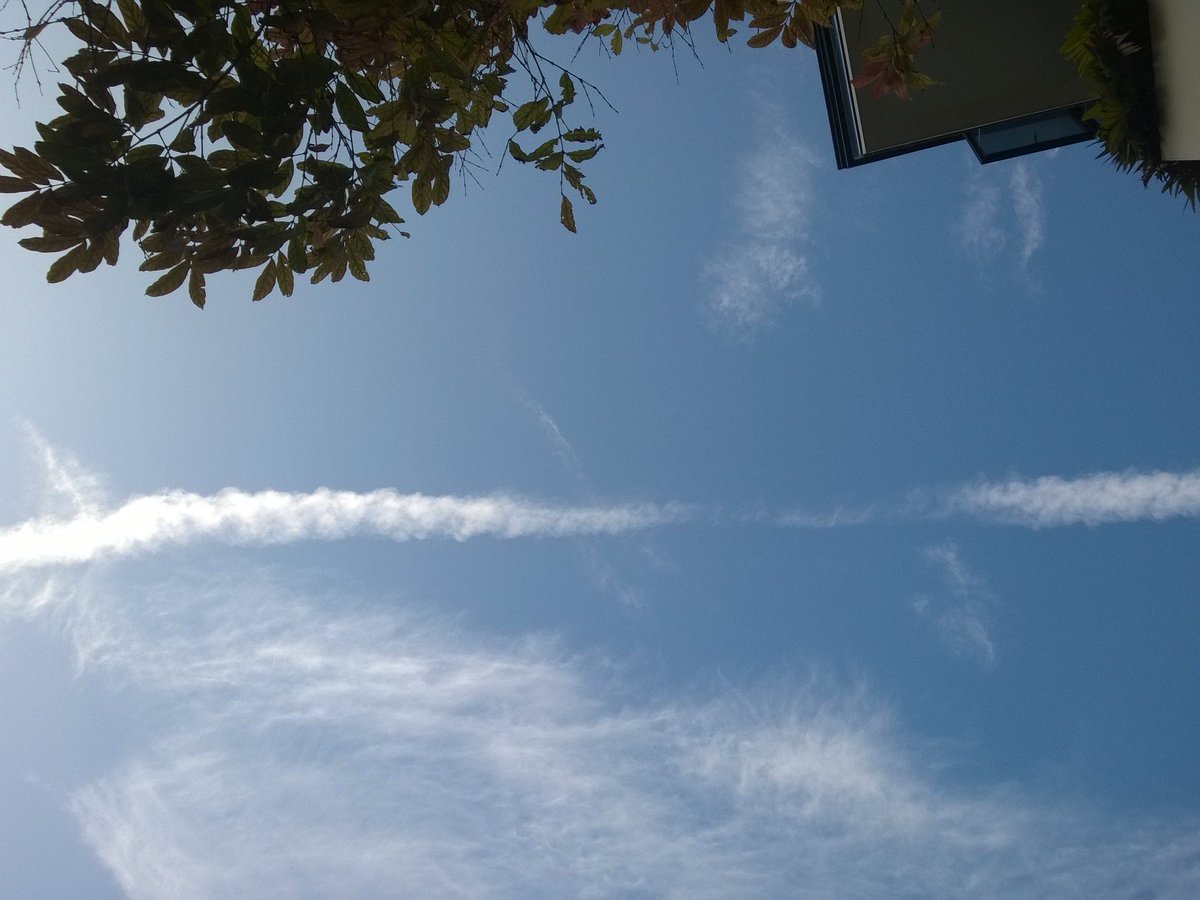 chemtrailsg's tweet photo. Plane farts, I guess
@chemtrails https://t.co/bNE182yc9P