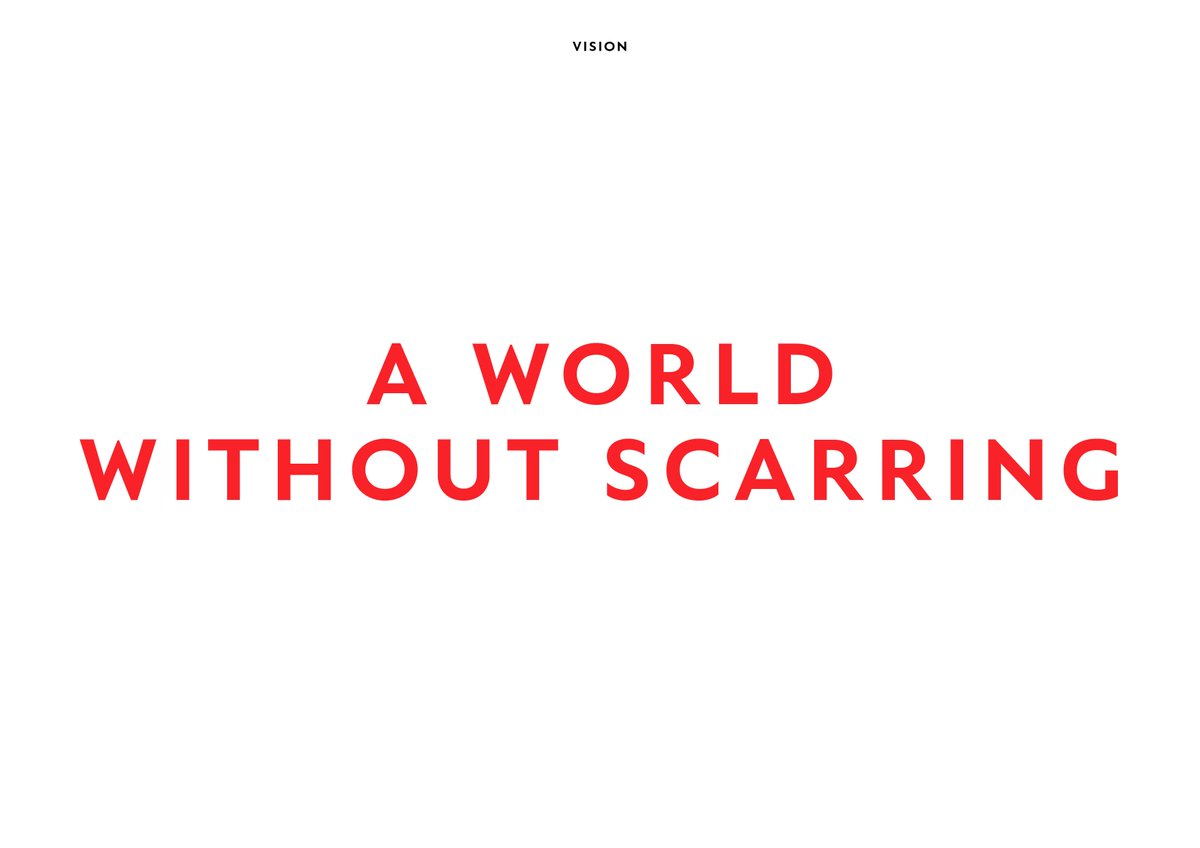 scarfreeworld's tweet photo. Our vision...#scarfree https://t.co/6egKiDQQvU