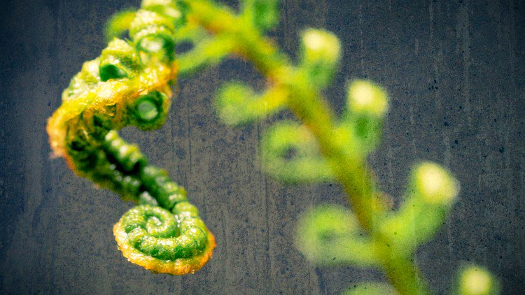 Data_Analytics2's tweet image. Light &amp;amp; Process: onOne Software SJqN3jjI
☞ hii.to/NkfUozvUb
