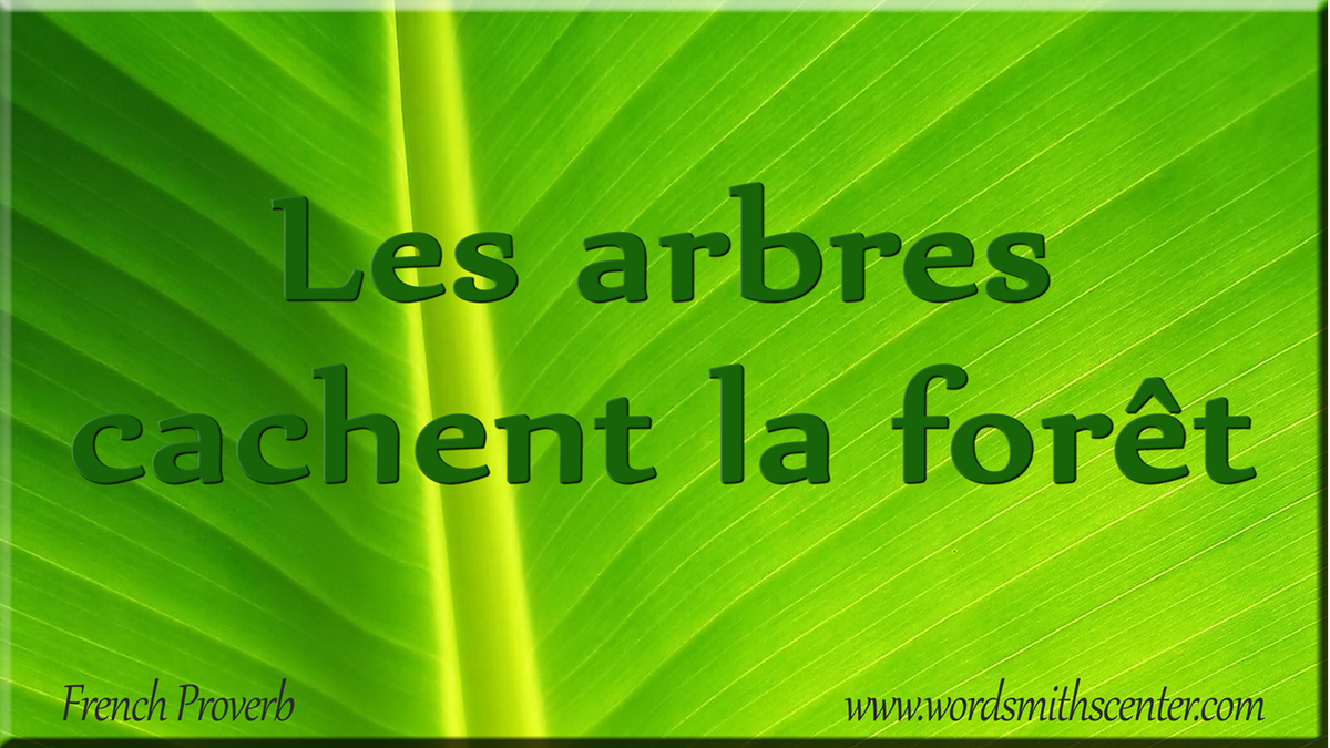 FrenchProverbs_'s tweet photo. Les arbres cachent la forêt #FrenchProverbs #French #Sayings #Proverbes  https://t.co/V6X8v8vdYM https://t.co/PDUUbT9TwG