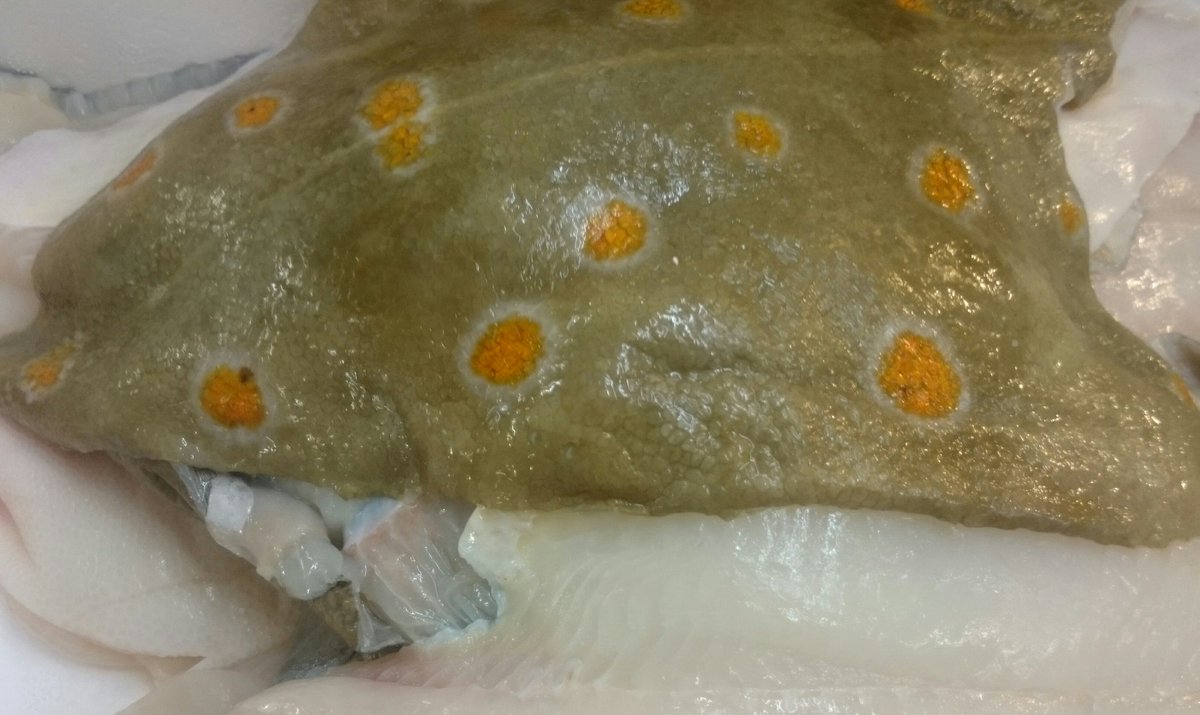 Freshest #mackerel at our #Plaice just arrived from @AOSeafood