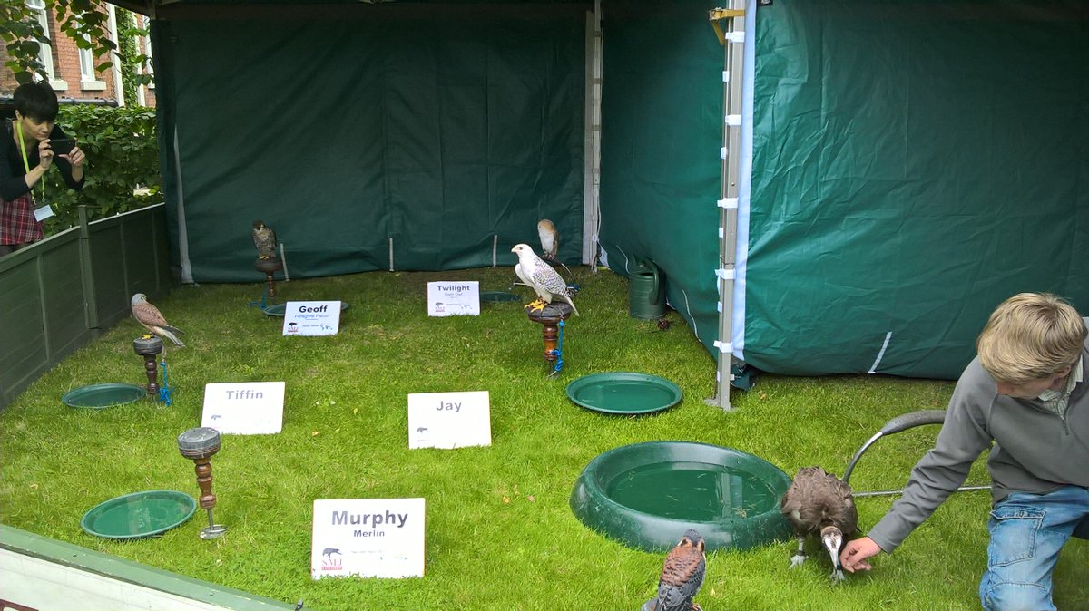IMC_Leeds's tweet photo. Come see the birds of prey! You may even get to hold one. #IMC2016 https://t.co/CdJH9dIEwA