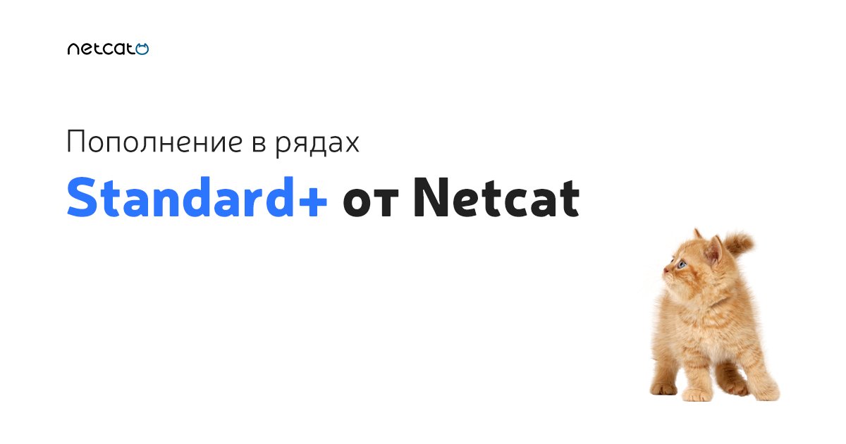 netcat_ru's tweet image. Ура! Мы запустили новую редакцию – Standard+! Переходите за всеми подробностями: netcat.ru/products/editi…